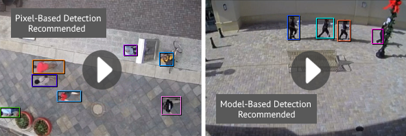 Good scene for intuVision edge. 